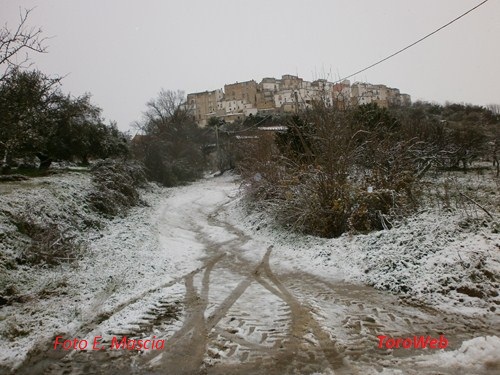 Clicca e ingrandisci la foto