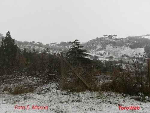 Clicca e ingrandisci la foto