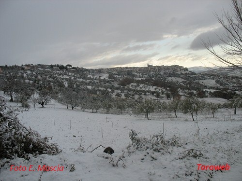 Clicca e ingrandisci la foto