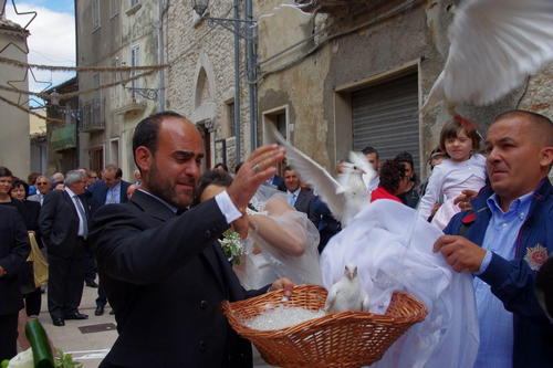 Clicca e ingrandisci la foto