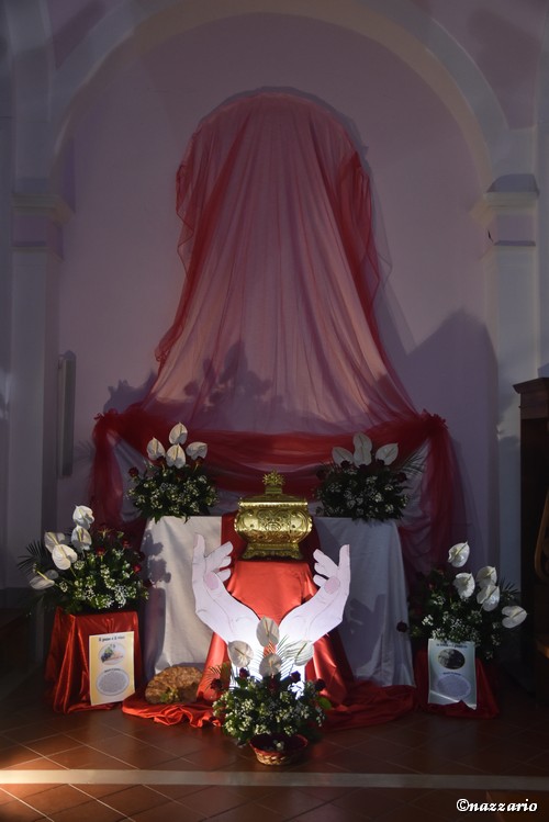 Clicca e ingrandisci la foto