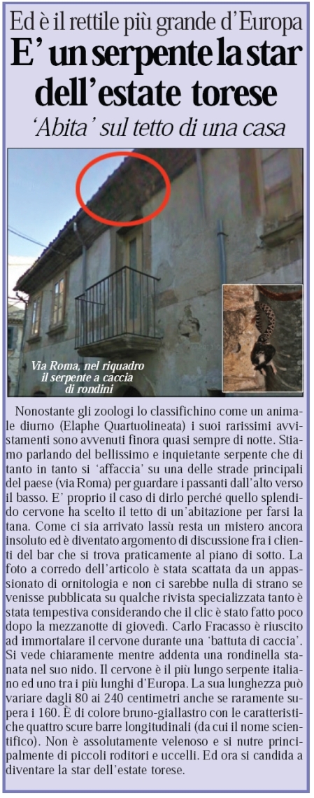 Quotidiano del Molise del 4 luglio 2011