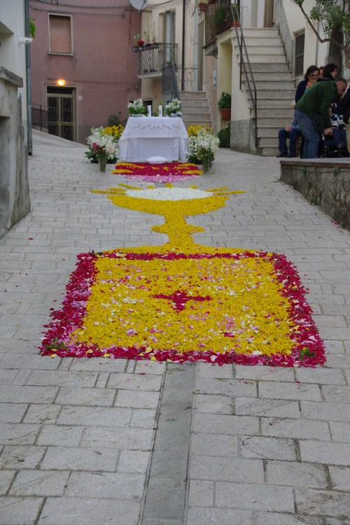 Clicca e ingrandisci la foto