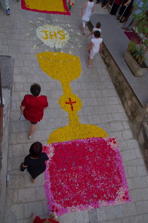 Clicca e ingrandisci la foto