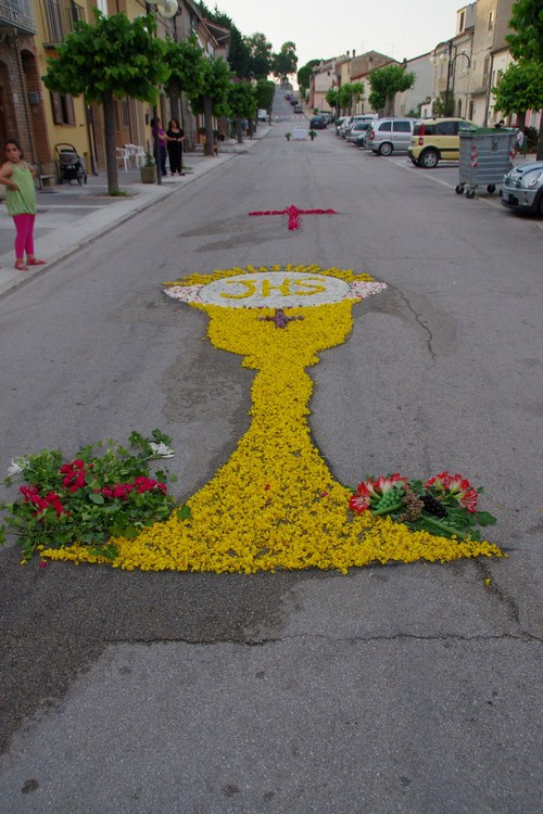 Clicca e ingrandisci la foto