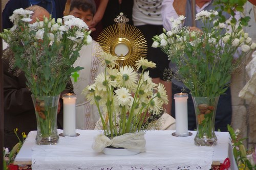 Clicca e ingrandisci la foto