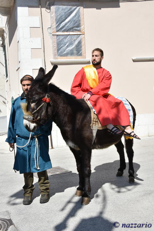 Clicca e ingrandisci la foto