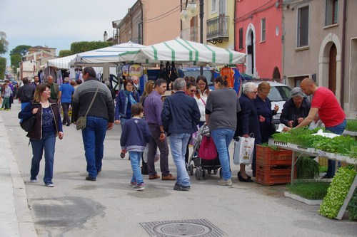 Clicca e ingrandisci la foto