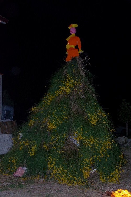 Clicca e ingrandisci la foto