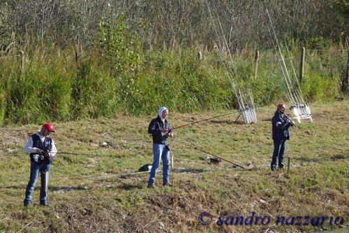 Clicca e ingrandisci la foto