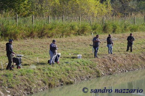 Clicca e ingrandisci la foto