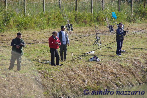 Clicca e ingrandisci la foto