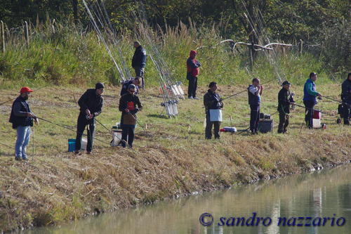 Clicca e ingrandisci la foto