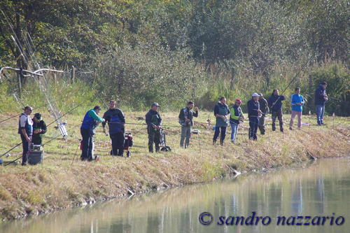 Clicca e ingrandisci la foto