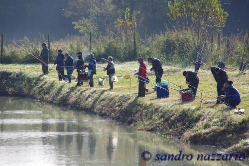 Clicca e ingrandisci la foto