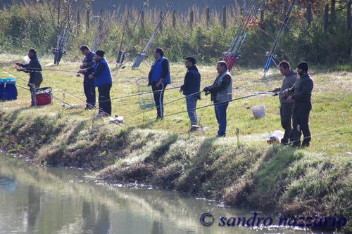 Clicca e ingrandisci la foto