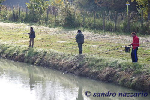 Clicca e ingrandisci la foto