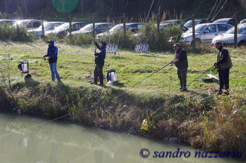 Clicca e ingrandisci la foto