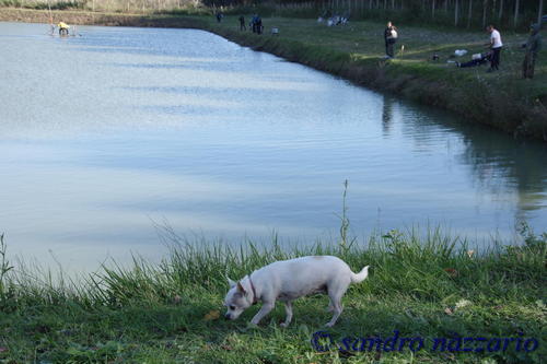 Clicca e ingrandisci la foto