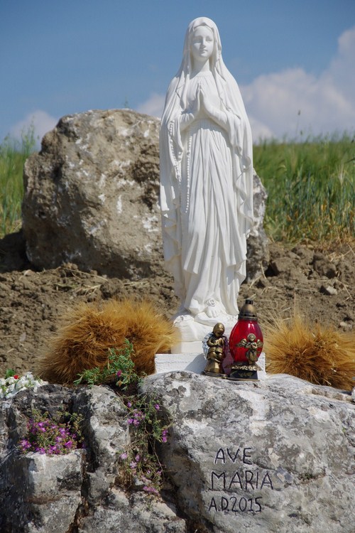 Clicca e ingrandisci la foto