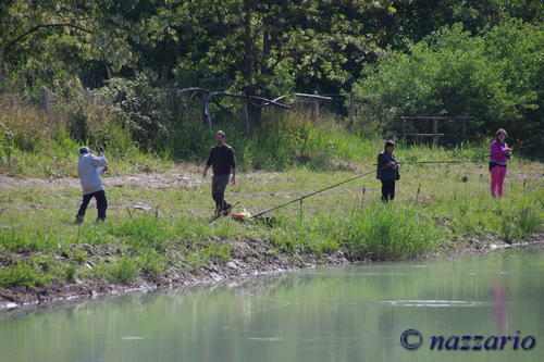 Clicca e ingrandisci la foto
