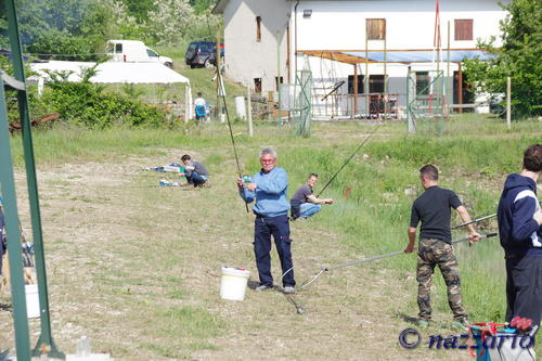 Clicca e ingrandisci la foto