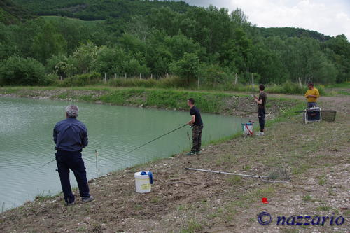 Clicca e ingrandisci la foto