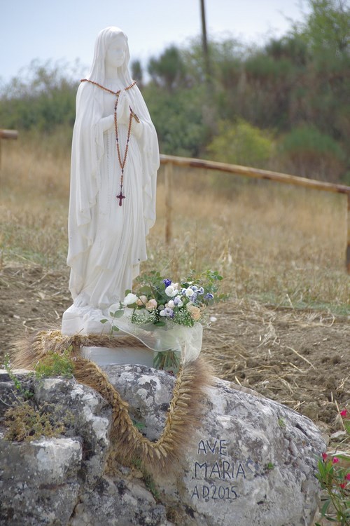 Clicca e ingrandisci la foto