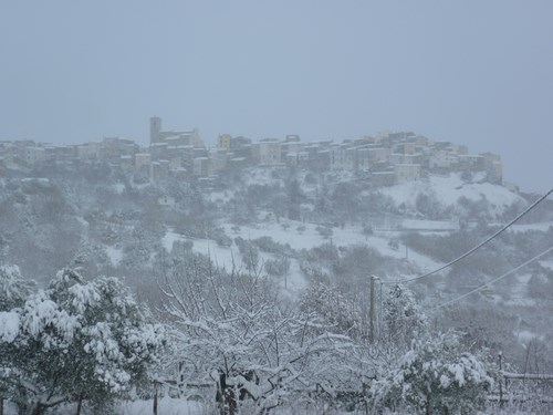 Clicca e ingrandisci la foto