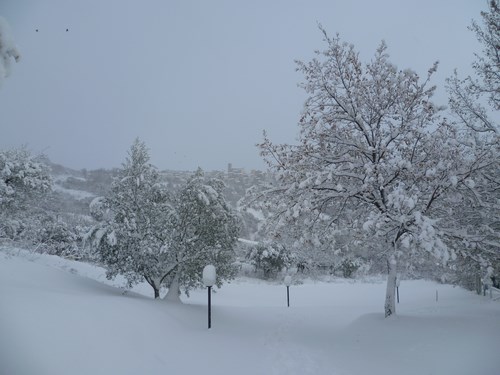 Clicca e ingrandisci la foto