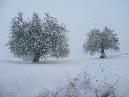 Clicca e ingrandisci la foto