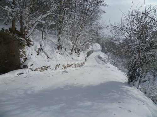 Clicca e ingrandisci la foto