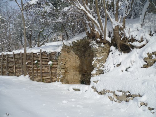 Clicca e ingrandisci la foto