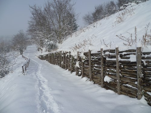 Clicca e ingrandisci la foto