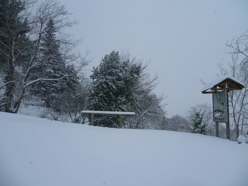 Clicca e ingrandisci la foto