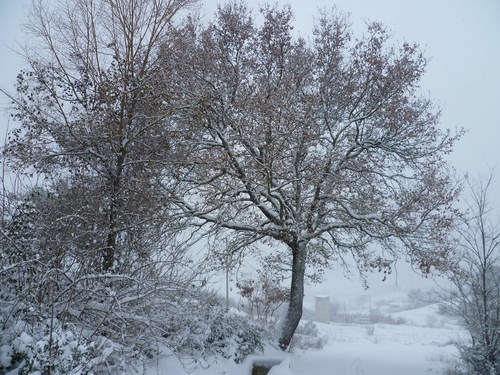 Clicca e ingrandisci la foto