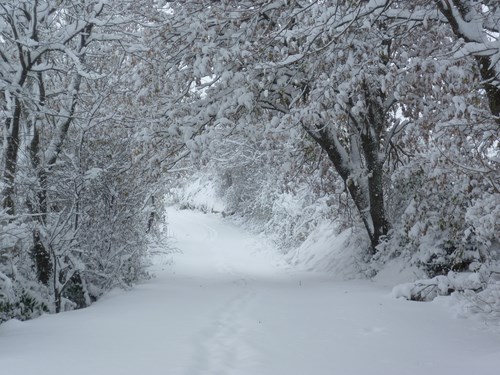 Clicca e ingrandisci la foto