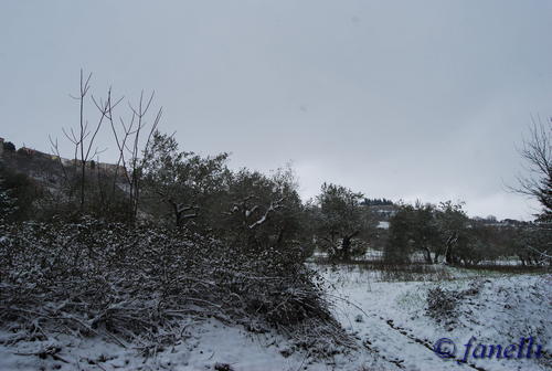 Clicca e ingrandisci la foto