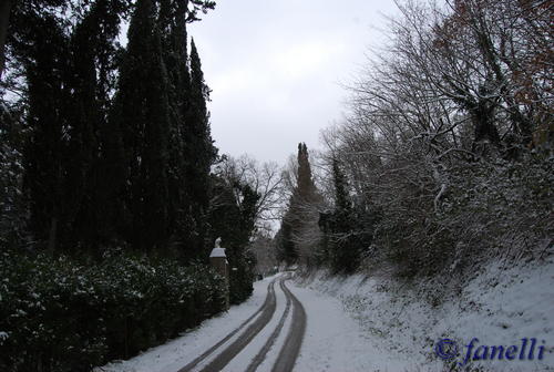 Clicca e ingrandisci la foto