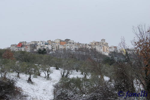 Clicca e ingrandisci la foto