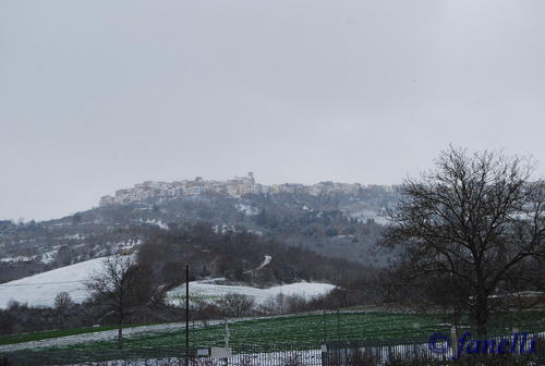 Clicca e ingrandisci la foto