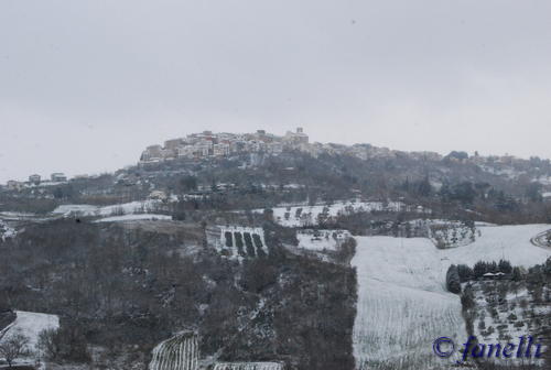 Clicca e ingrandisci la foto