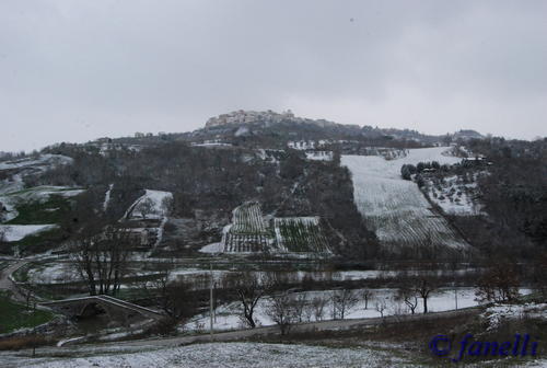 Clicca e ingrandisci la foto