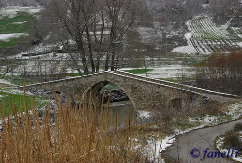 Clicca e ingrandisci la foto