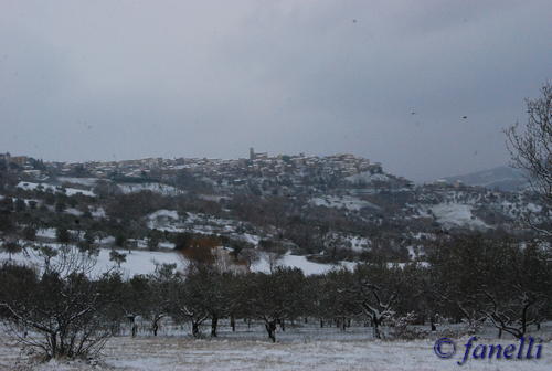 Clicca e ingrandisci la foto