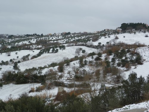 Clicca e ingrandisci la foto