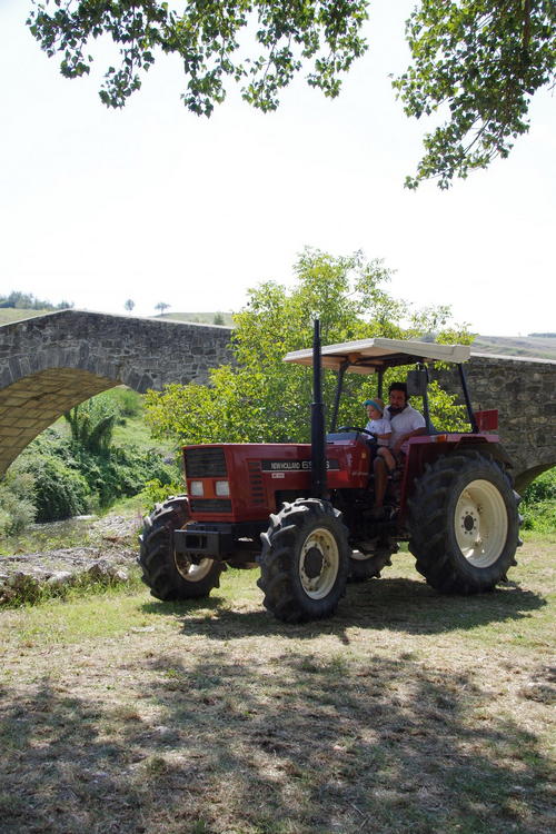 Clicca e ingrandisci la foto