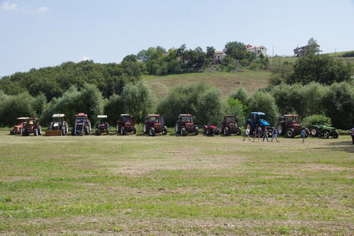 Clicca e ingrandisci la foto