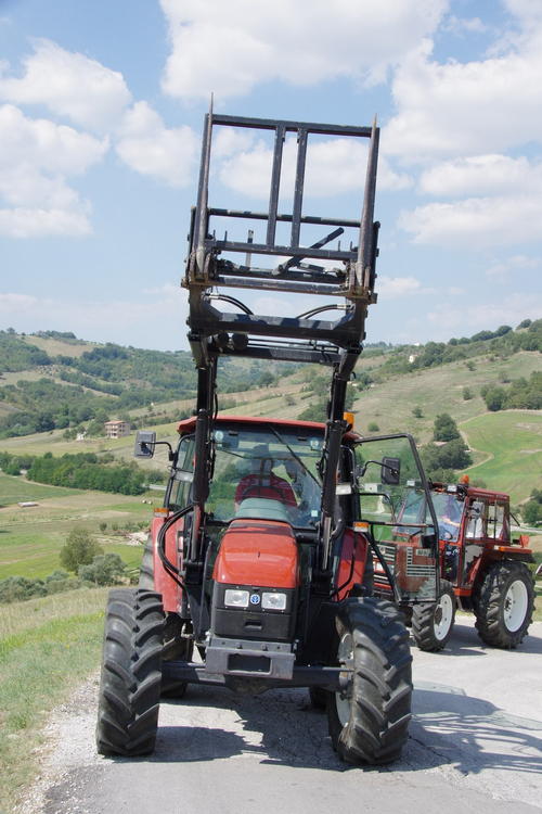 Clicca e ingrandisci la foto