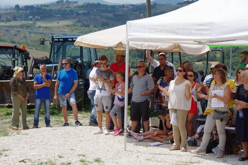 Clicca e ingrandisci la foto